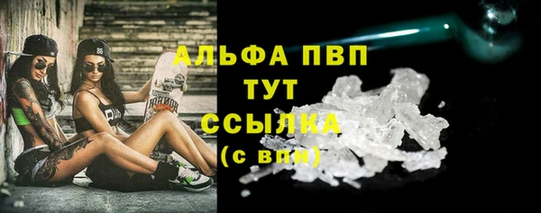 винт Алзамай