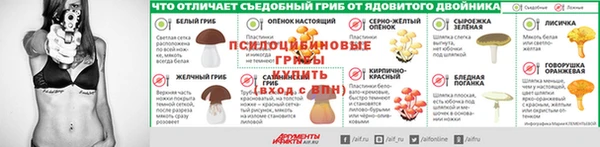 дурь Алексеевка