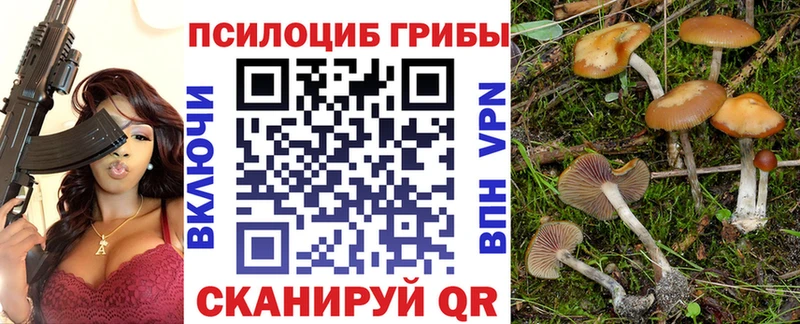 Галлюциногенные грибы GOLDEN TEACHER  Нюрба 